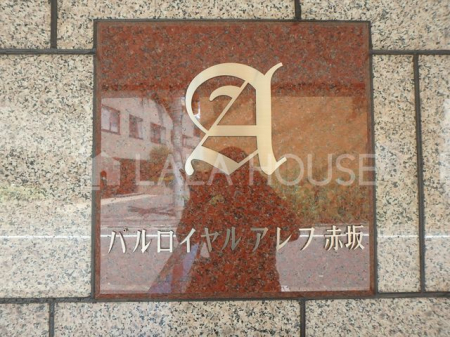 ̑@L