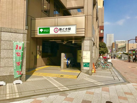 ӊ@ǂw(scnS ]ː) k9B 650m