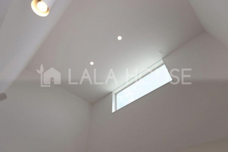 ̑ρ@Ŝ邭Ȃ鑋̗pI邱Ƃo܂