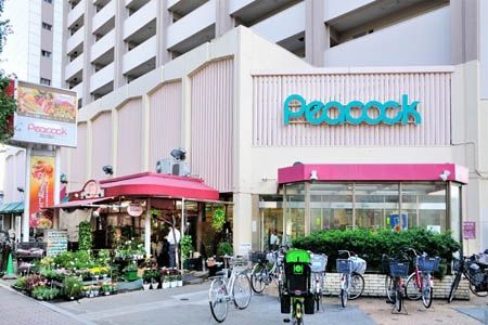 ӊ@s[RbNXgAڔX k8B 600m