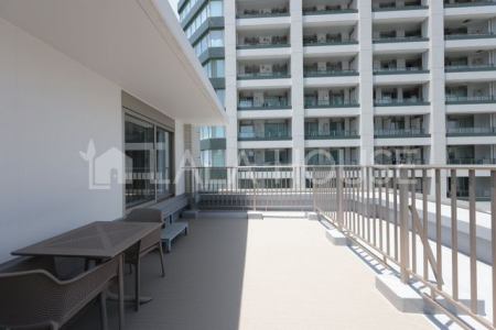 oRj[@LXƂ19.66m2̃[toRj[