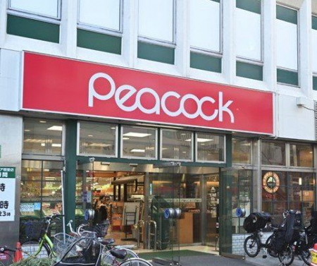 ӊ@s[RbNXgAO̓mX k10B 760m