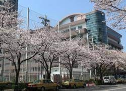 ���ӊ��@�����旧���C���w�Z �k��7���B 520m