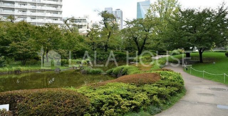 ���ӊ��@�Z�{�ؘZ���ڗΒn �k��11���B 880m