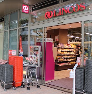 ���ӊ��@�����R�X�����U�E�X�J�C�X �k��6���B 470m