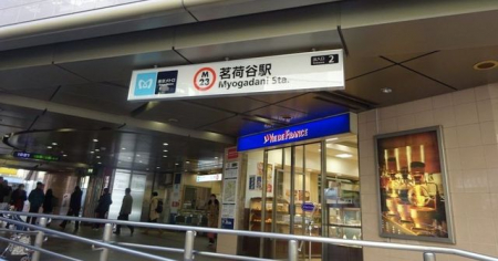 ���ӊ��@䪉גJ�w(�������g�� �ۃm����) �k��6���B 410m