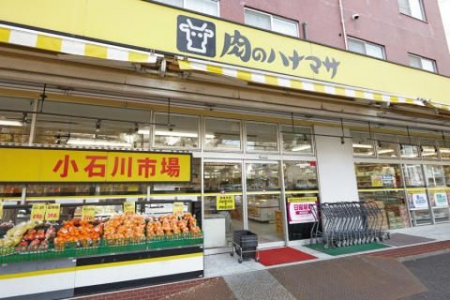 ���ӊ��@���̃n�i�}�T���ΐ�X �k��5���B 330m