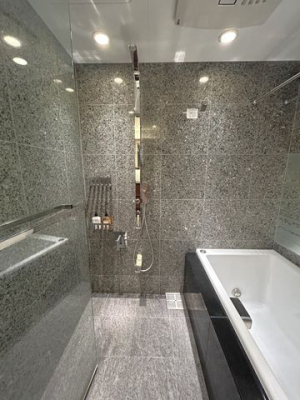 �����@�������̂���o�X���[��