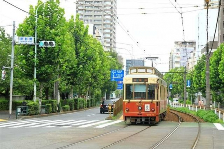 ���ӊ��@�ʉe���w(�s�d �r���) �k��3���B 230m